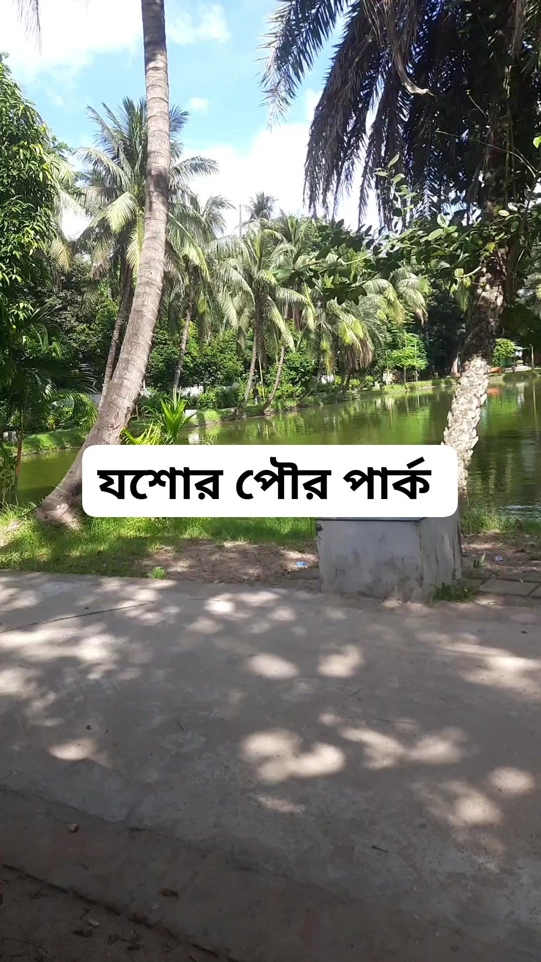 Bp Safaly