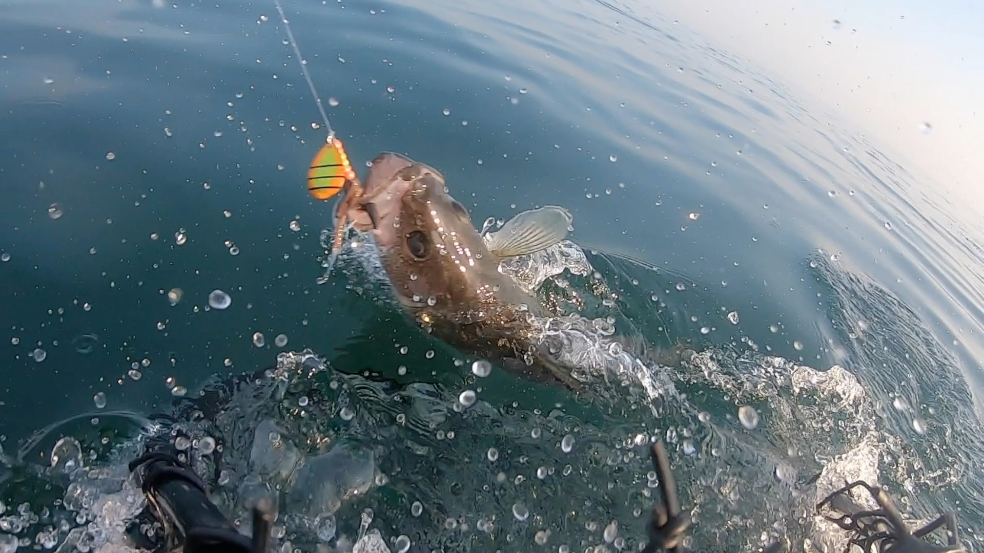 camera lure fishing Chasing CanFish CamX Action angle camera that can clearly observe the underwater vision CHASING CanFish Fishing CamX Lure
