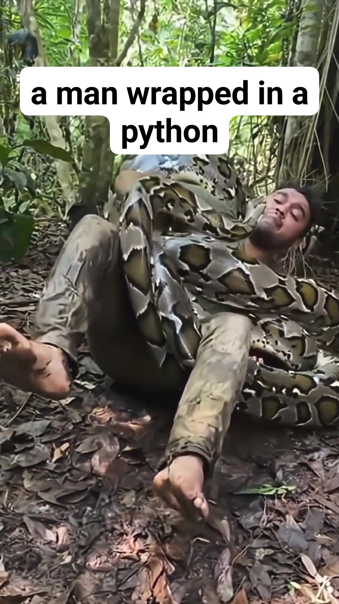 a man wrapped in a python | Ng ree | Facebook