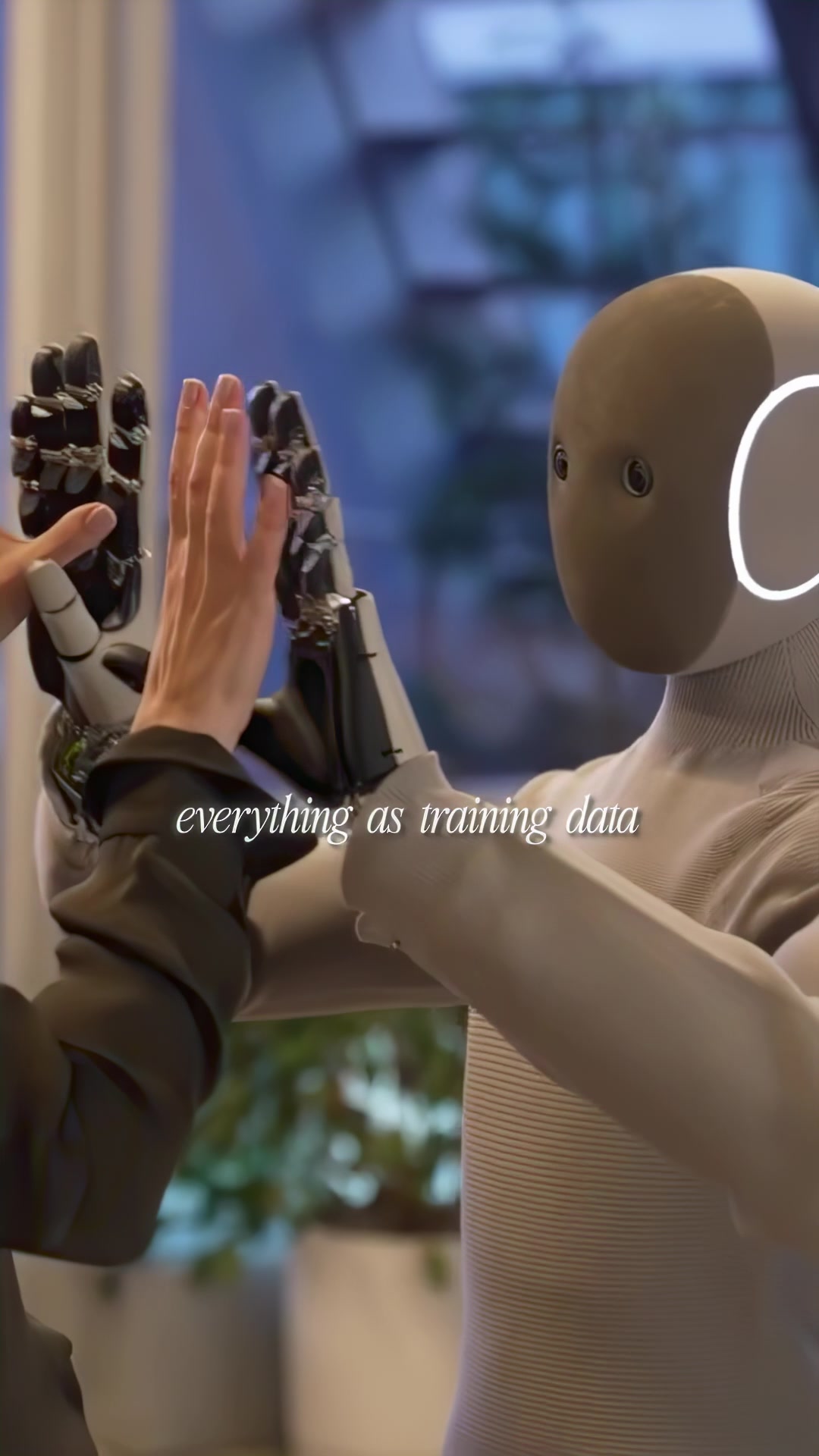 At least a dozen humanoid robots are scheduled to hit the market