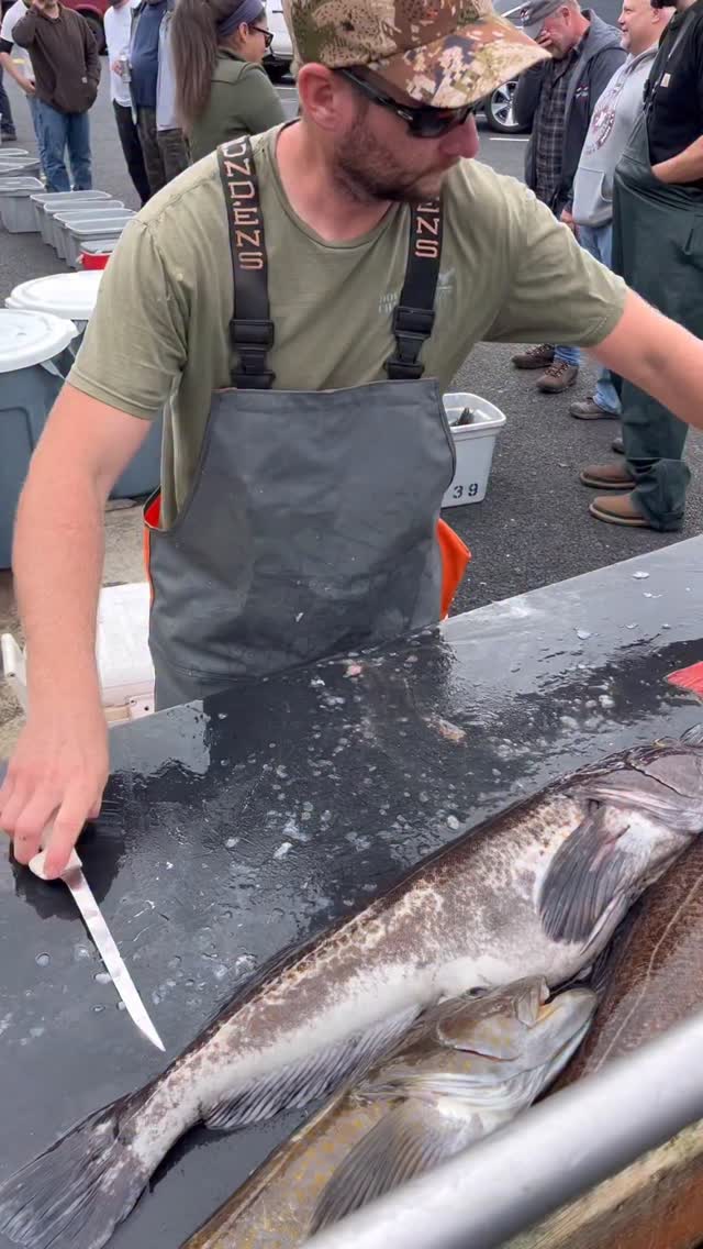 No waste filleting is what this guy does! #fillet #fish #saltwater # ...