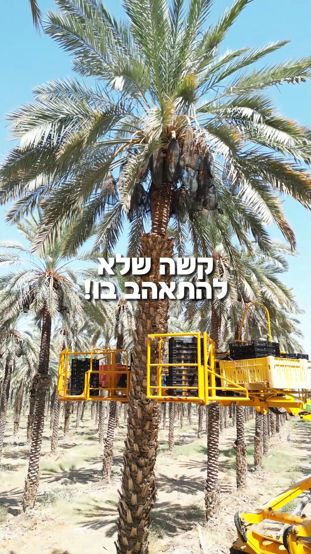 הכירו את תמר דקל נור! עדין, טבעי ולא מתאמץ 😎 | תמר ישראלי - בא לי מתוק ...