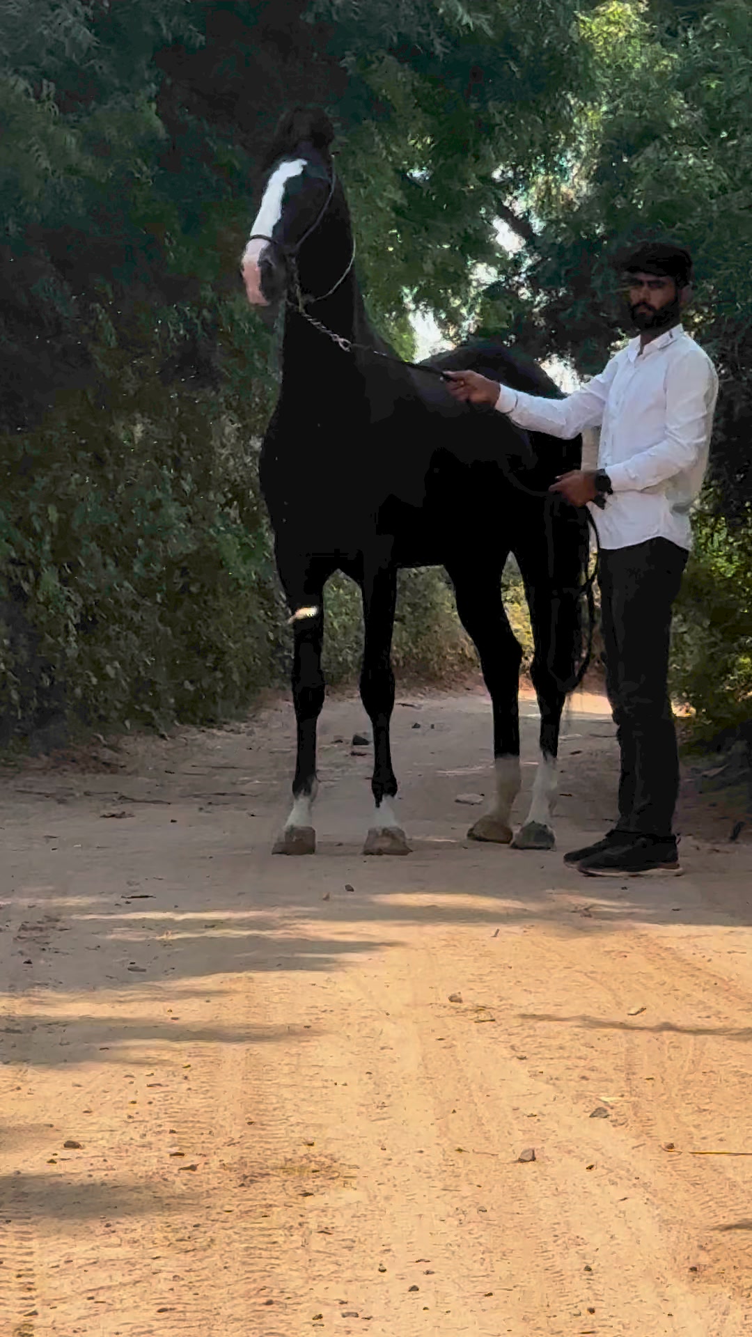 Bharat Singh Rathore Dudva