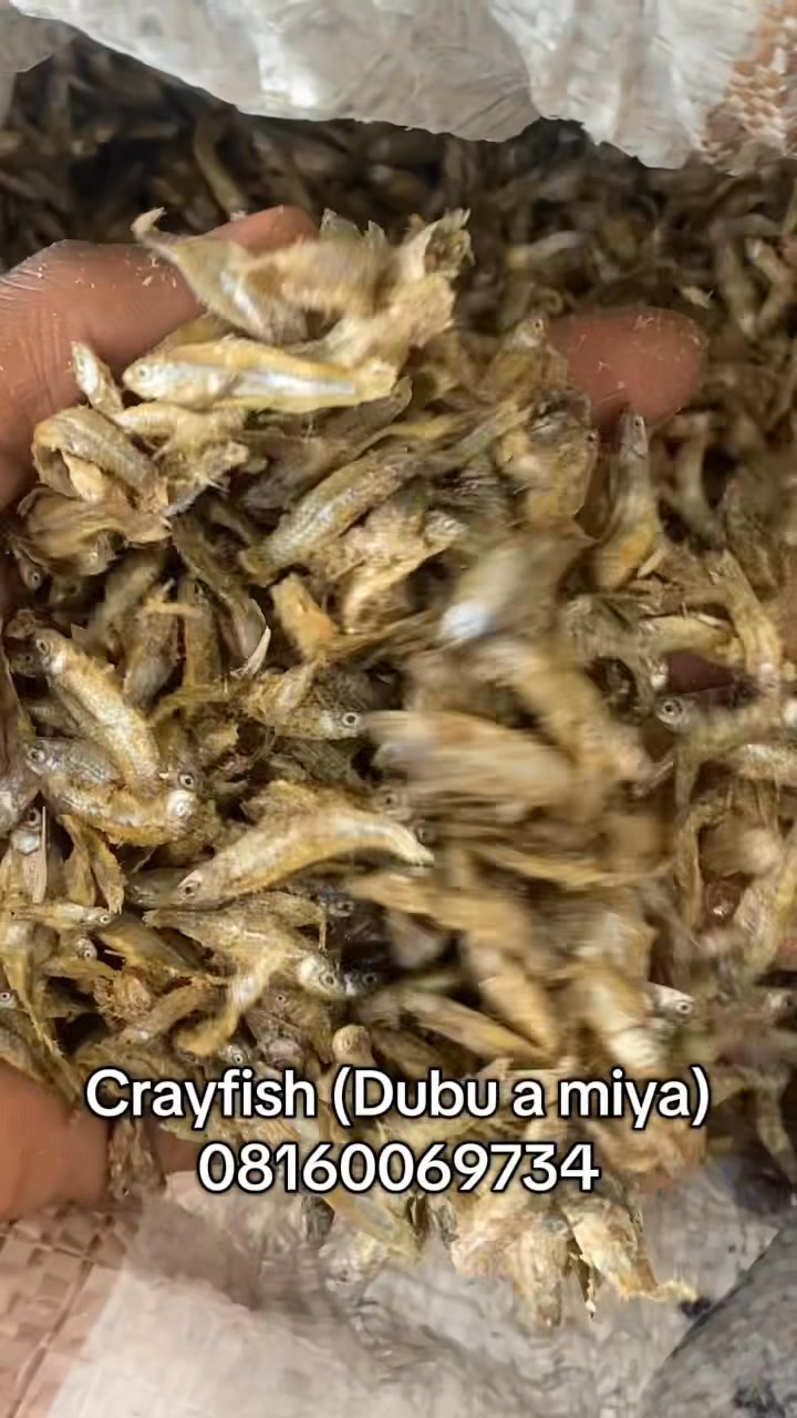 Kindness Fish Farm & General Services on Reels | Facebook