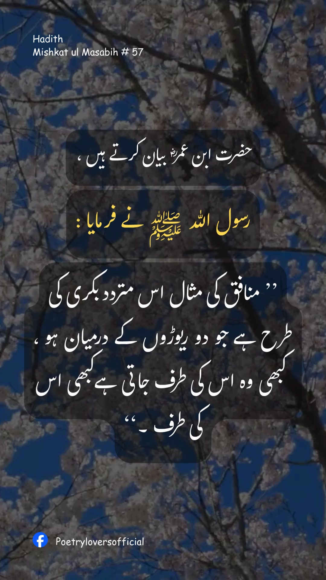 #hadees #hadithoftheday #hadeessharif #Hadith | Poetryloversofficial ...