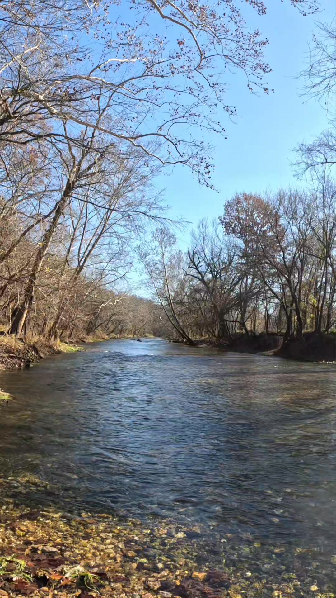 I wish this was my backyard This is an @ upstream view of Bennett ...