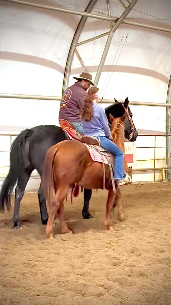 Good job, C Bracket team! This little red four-year-old cowbred filly ...