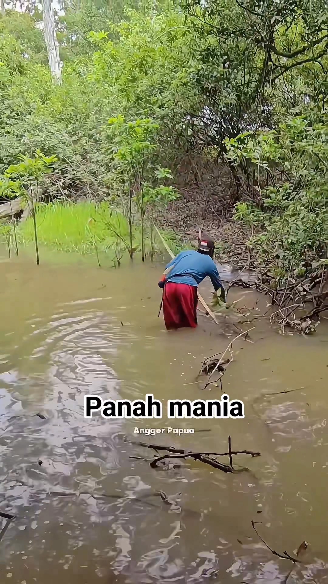 Panah mania mantap #panahikan #reels #fbpro #fyp #pengikut #sorotan # ...