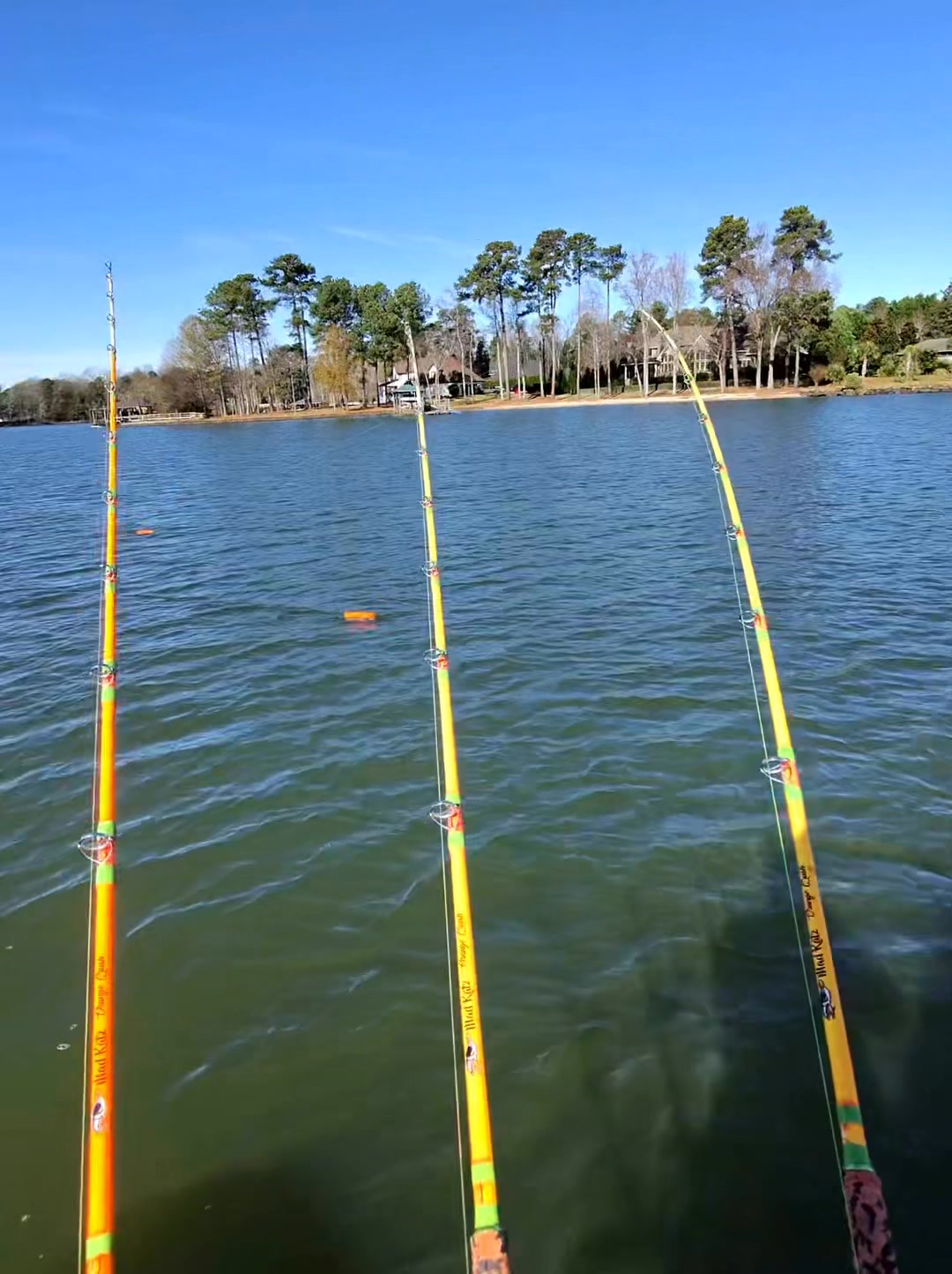best fishing rod for chumming using circle hooks Jigging World Zblade In-Line Baitholder 6/0 / 12 and jigging Circle Hooks For Catfish: 3