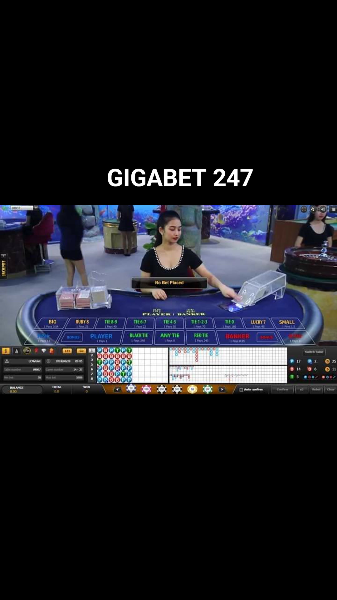 Bigbet24 casino