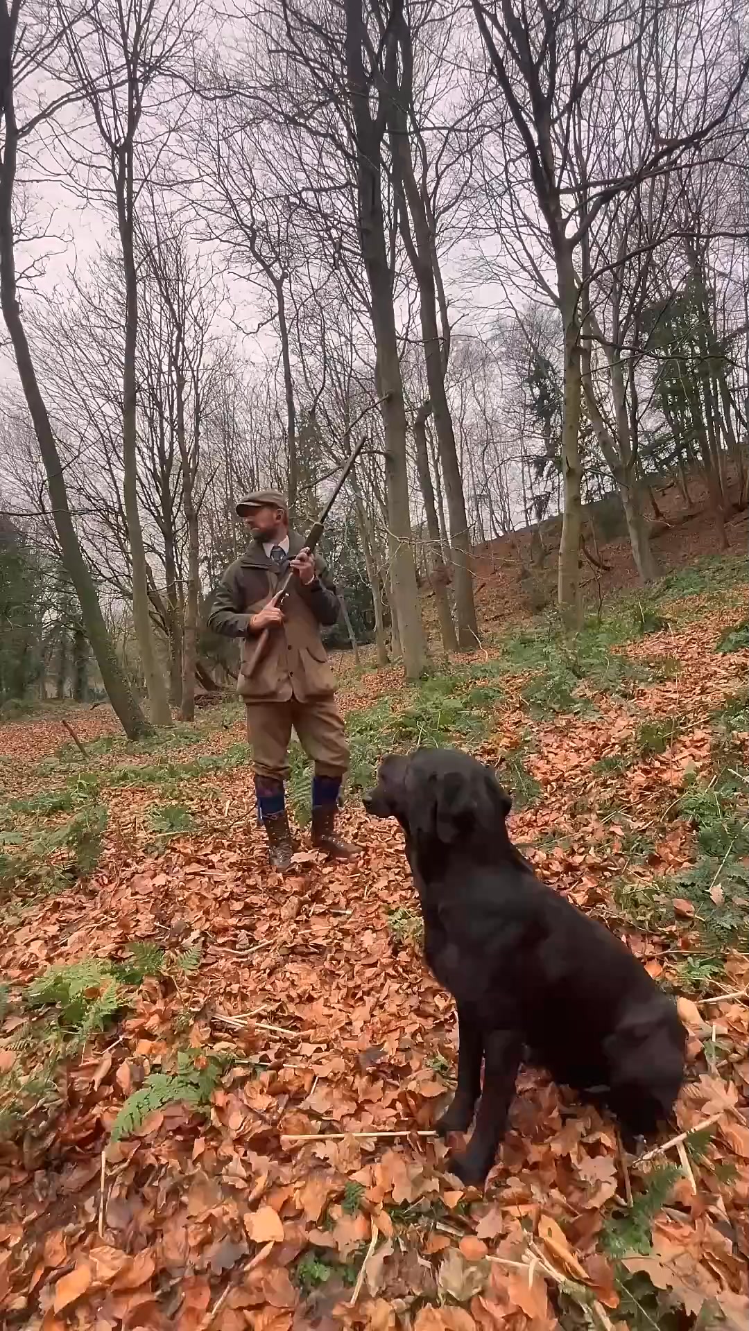 On the peg with Reed and Luna labrador hunting #labradoretriever #dogs ...