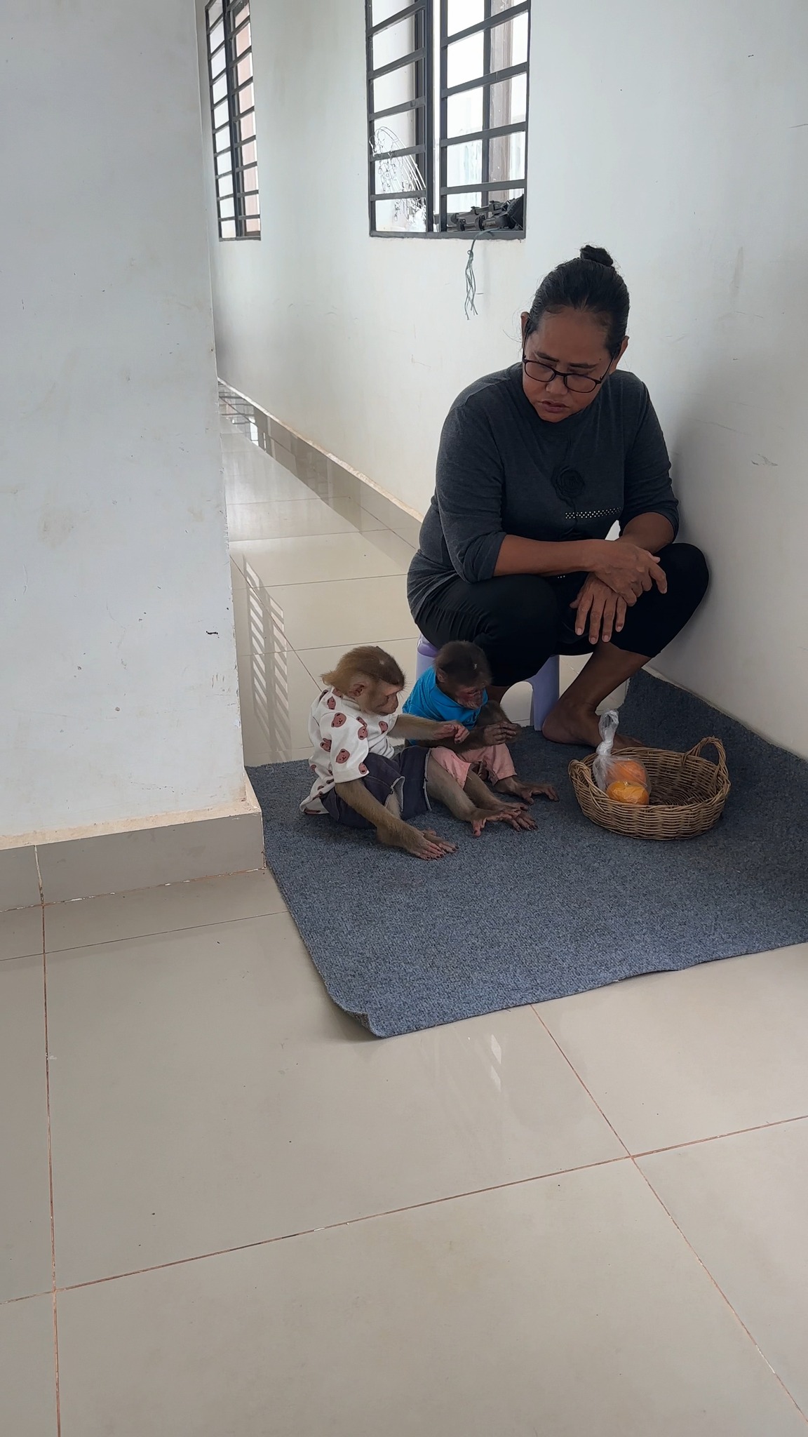 The Hilarious Adventures of a Monkey at Home 😂🐵 #FunnyPets #MonkeyLove ...