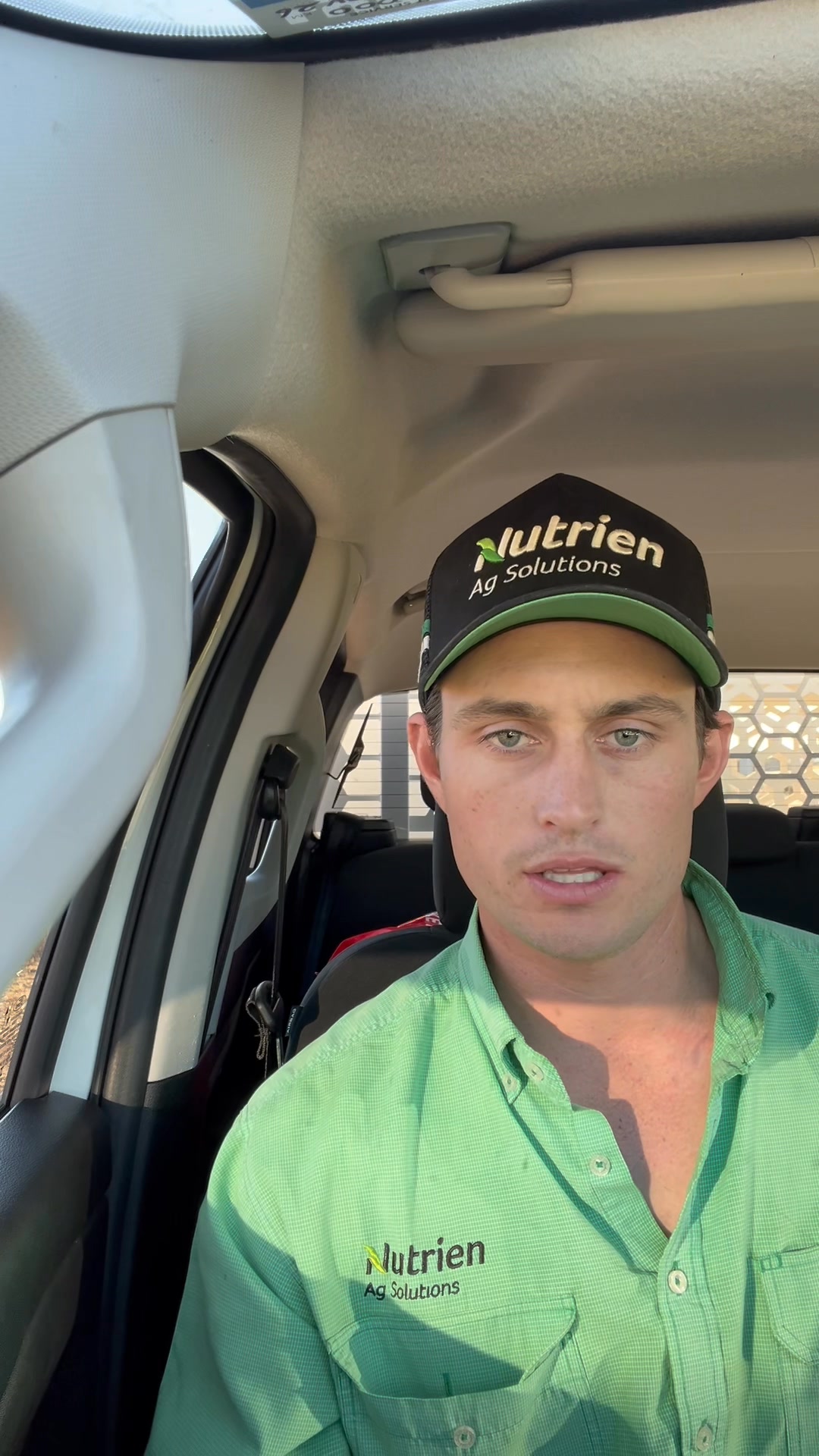 Wagga Cattle Market Report 10/11/2025 Bulls 380c - 420c | Nutrien ...