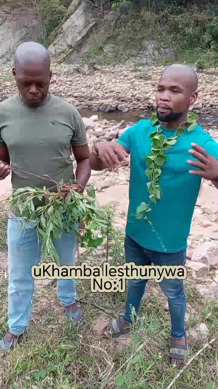 Umkhamba ledlozi or Isthunywa | Sivusa Ikhaya Ngekhubalo | Facebook