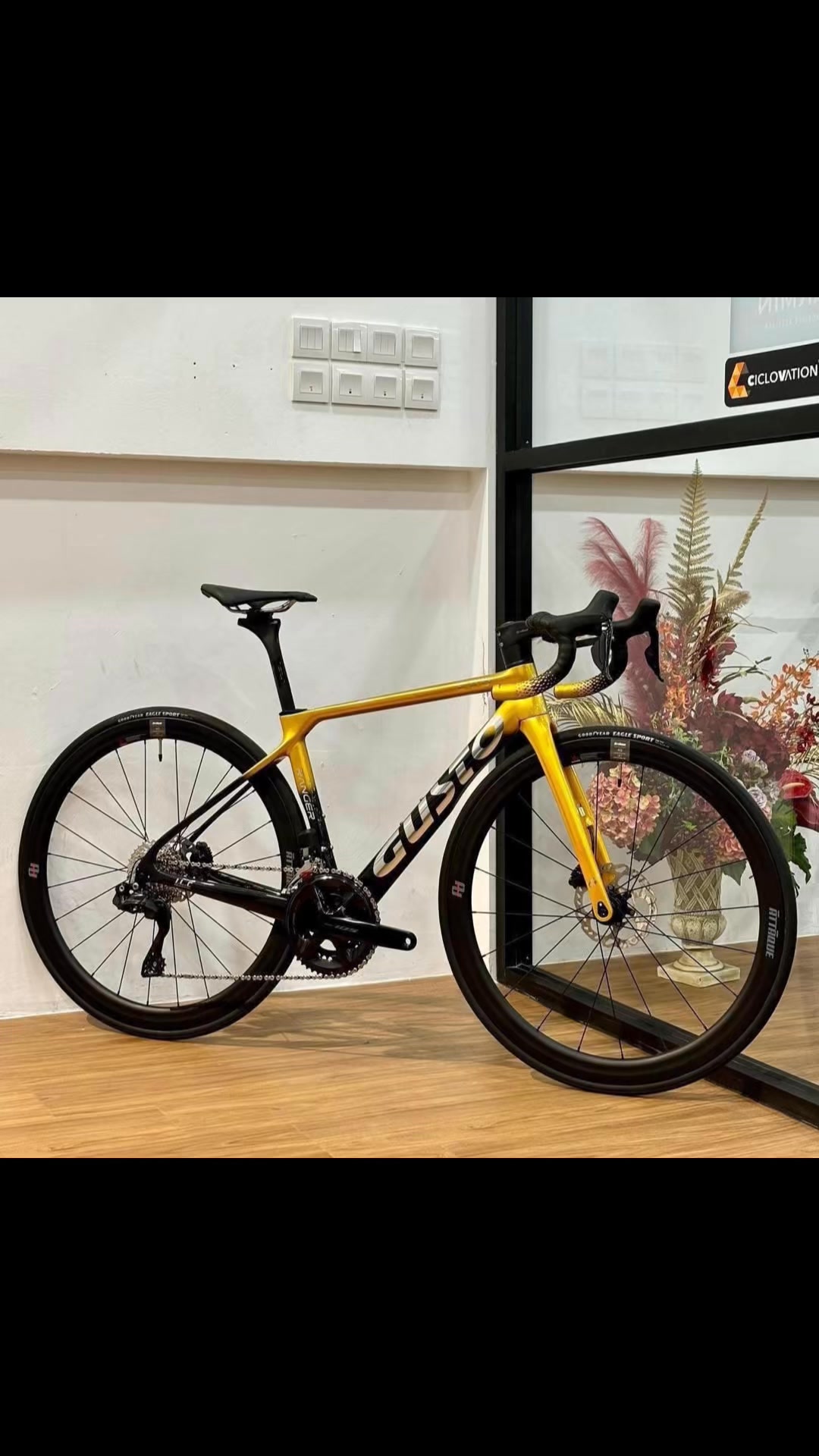 Promotion ‼️ Gusto Ranger Evo Disc Team Limited Pls call/WhatsApp