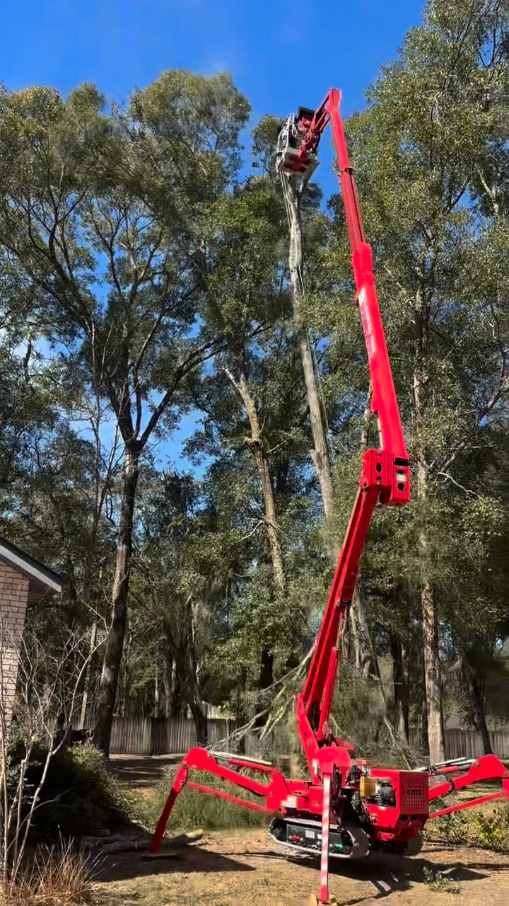 Let it runnnn 🌳 Rope man showing his skills lowering this top safely ...