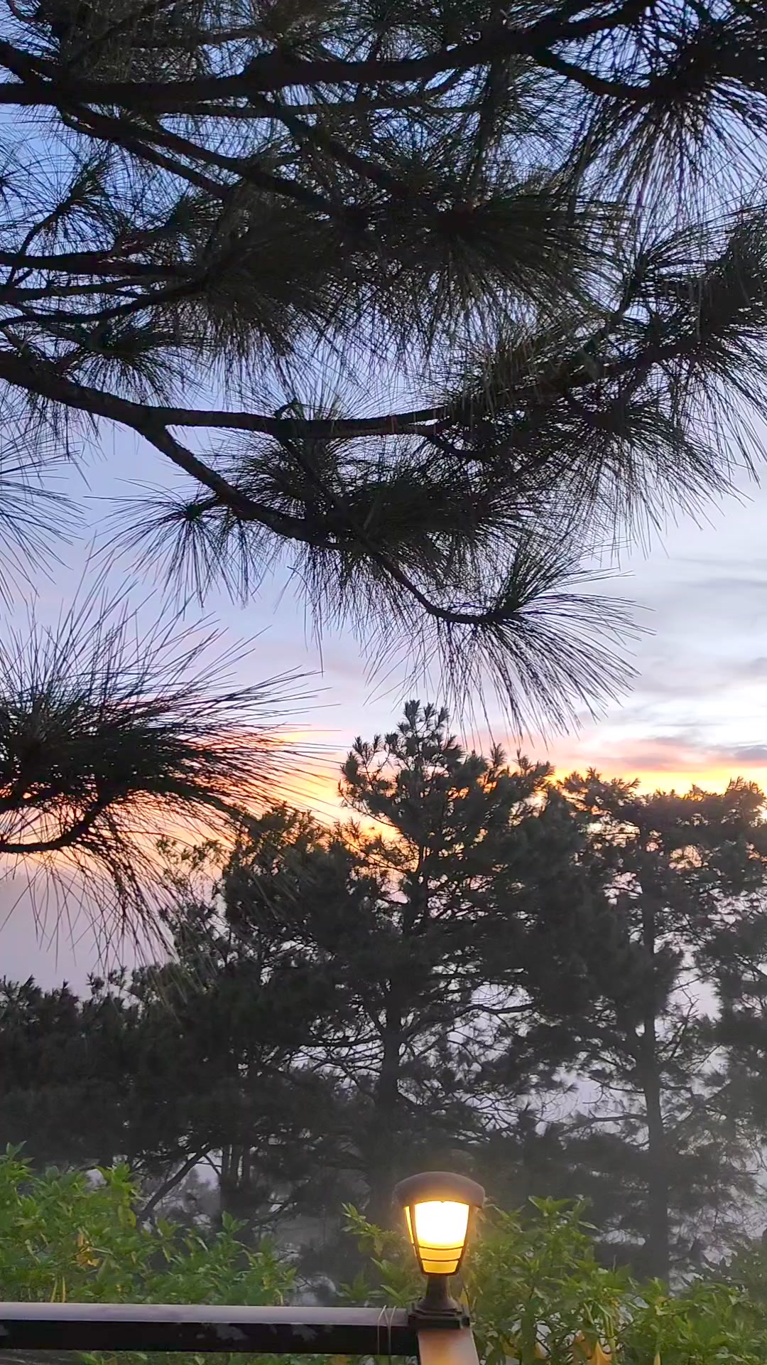 Camp Ragsak | La Trinidad