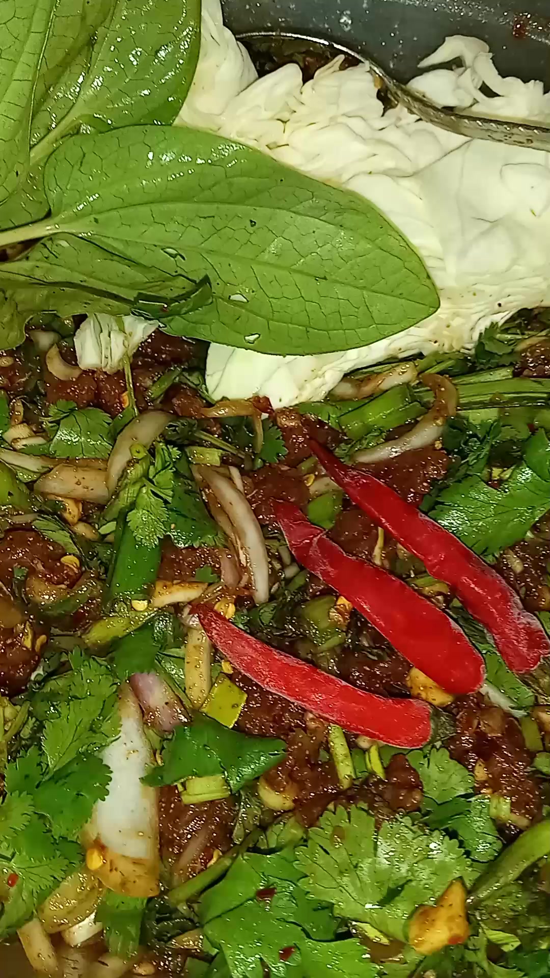 Deer Laab and KaoPia on a cold weather day. #reel #deermeat #laab #deer ...