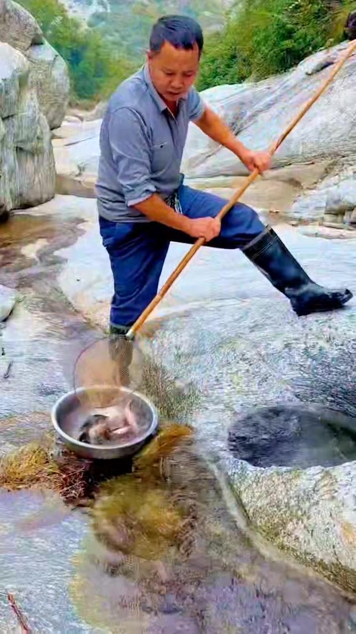 Catching Many Fish from a Tiny Rock Hole #reels #fishing #viral #fish ...