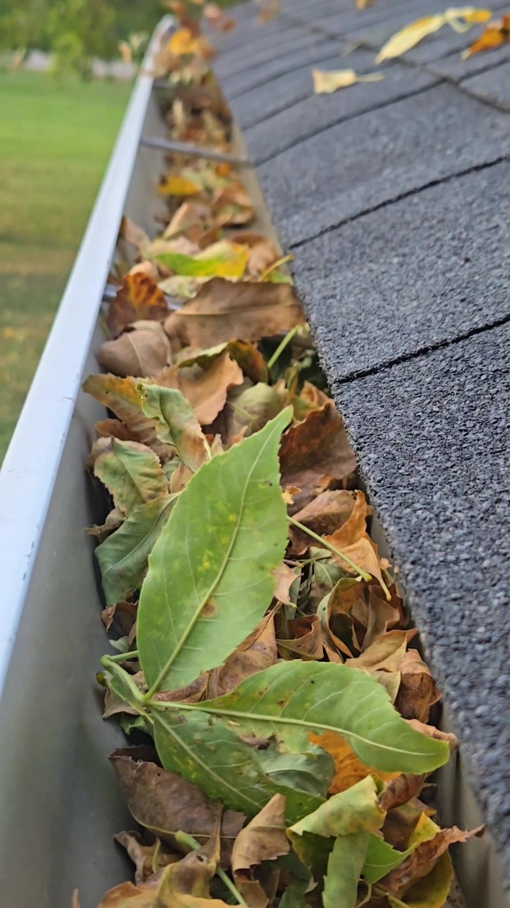 Time to Clean Those Gutters! 🍂 Leaves are falling fast, and now’s the ...