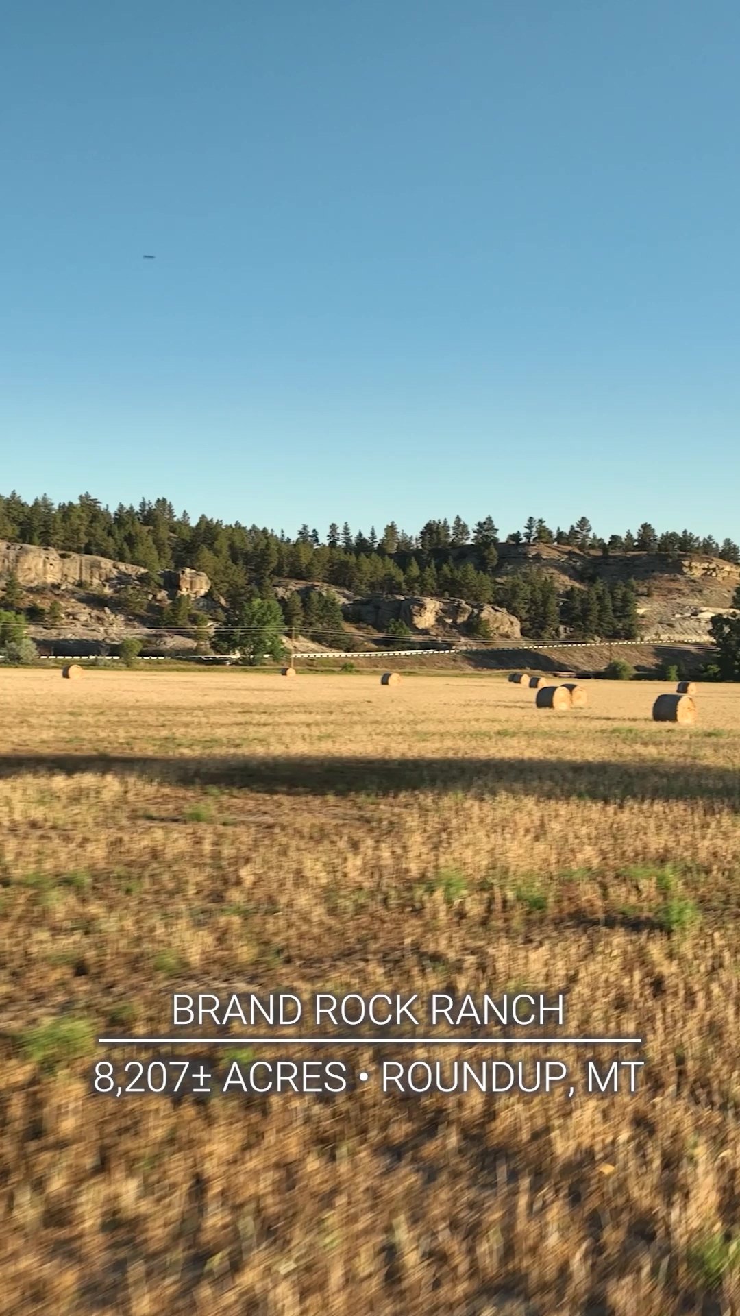 Hall and Hall - | PRICE REDUCED | Brand Rock Ranch . . .... | Facebook