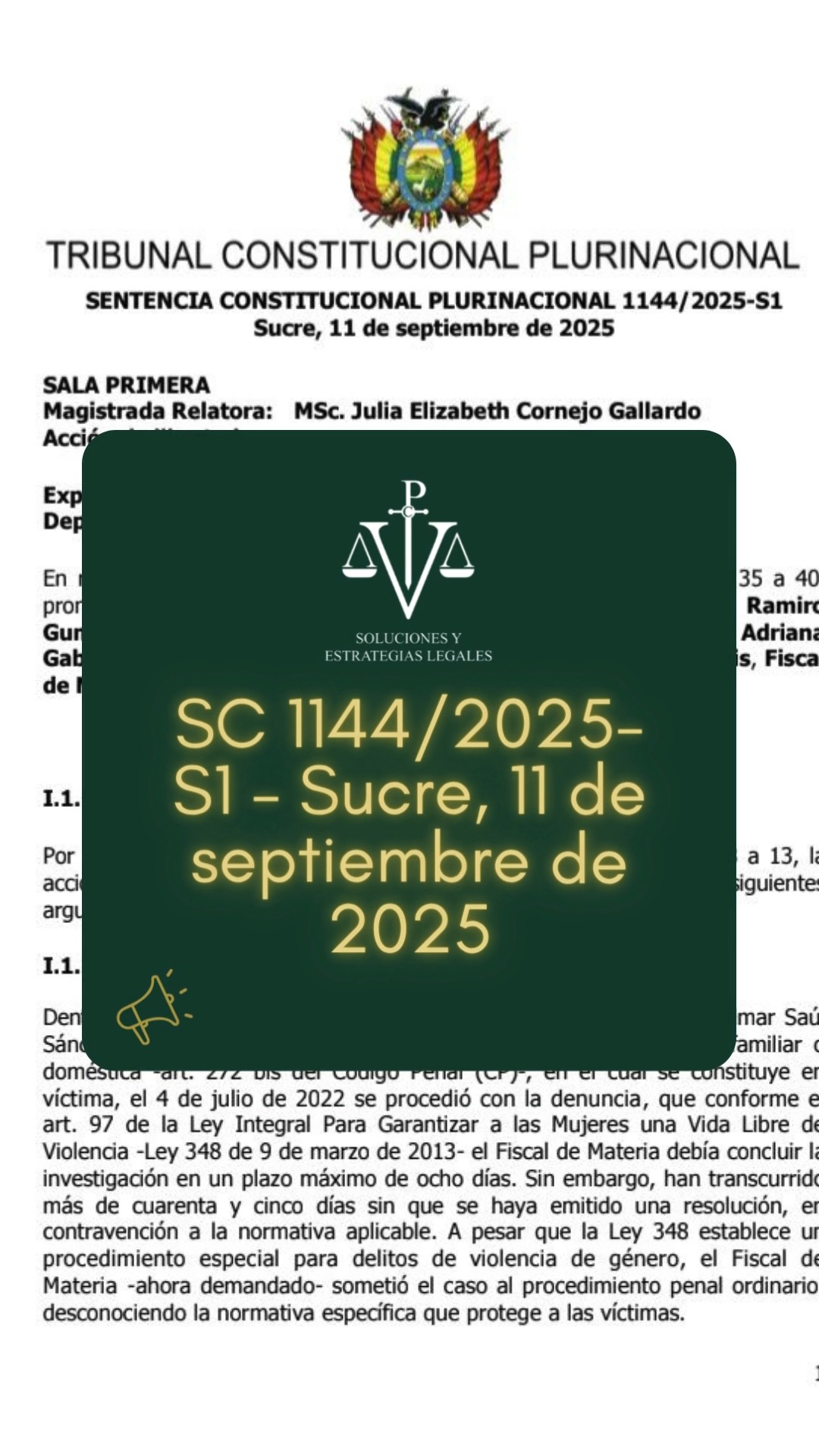 Soluciones y Estrategias Legales | La Paz