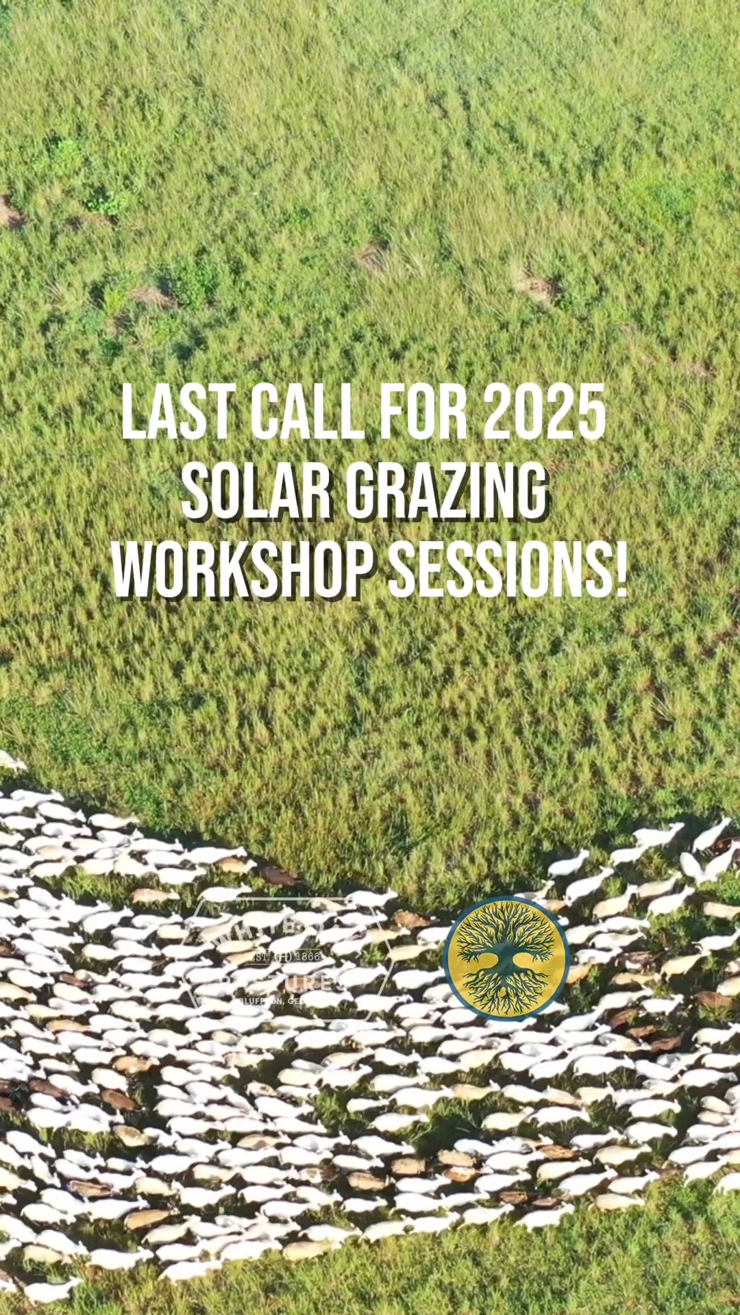 Join us October 20-22 for our last Solar Grazing Workshop of the year ...
