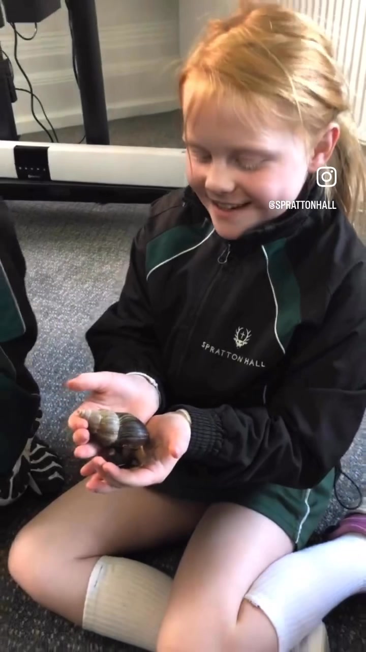 Spratton Hall - Today the remarkable creatures from... | Facebook