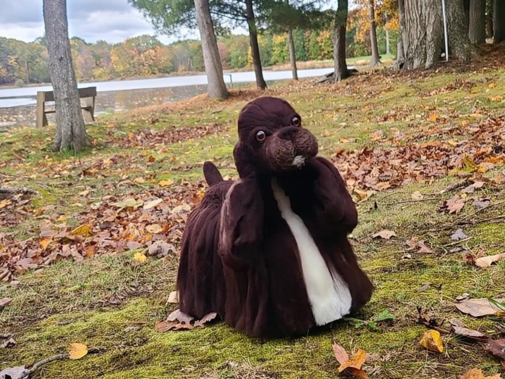 The leaves are almost all down! My needle felted cocker spaniel is ...