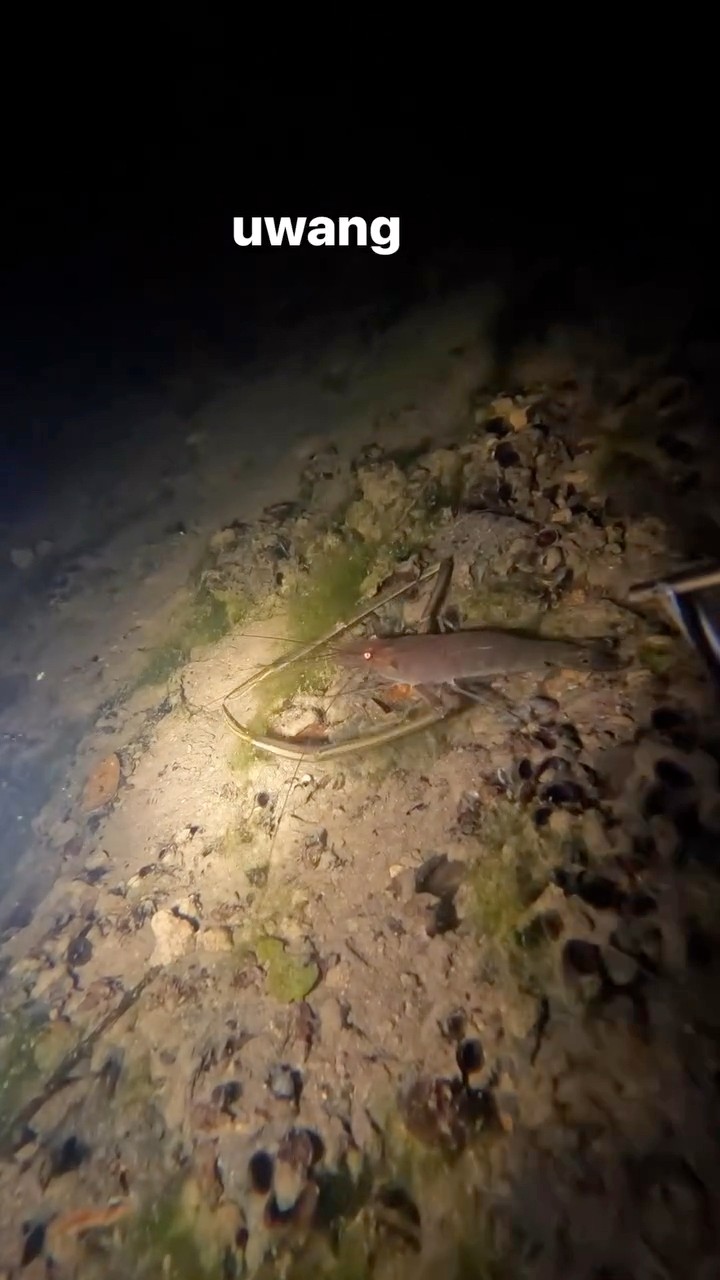 Lamia sa adubong baki og sinigang uwang Catch & Cook🦞🐸 #Menggoytv ...