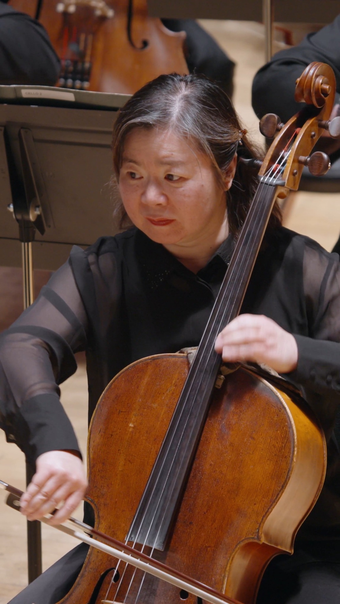 Brahms’s Third Symphony opens with three notes—F, A-flat, F—referring ...