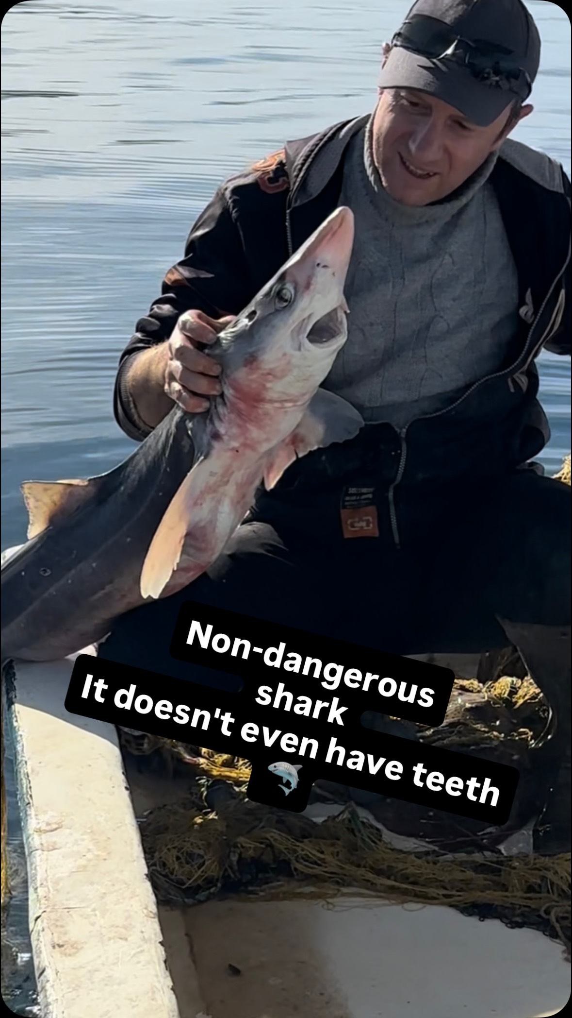 🦈 #rize #ardeşen #karadeniz #deniz #balıkçı #fishing #balık #shark # ...