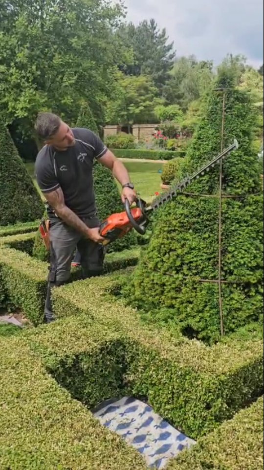 Cutting yew cones using a custom made frame as they had become very ...