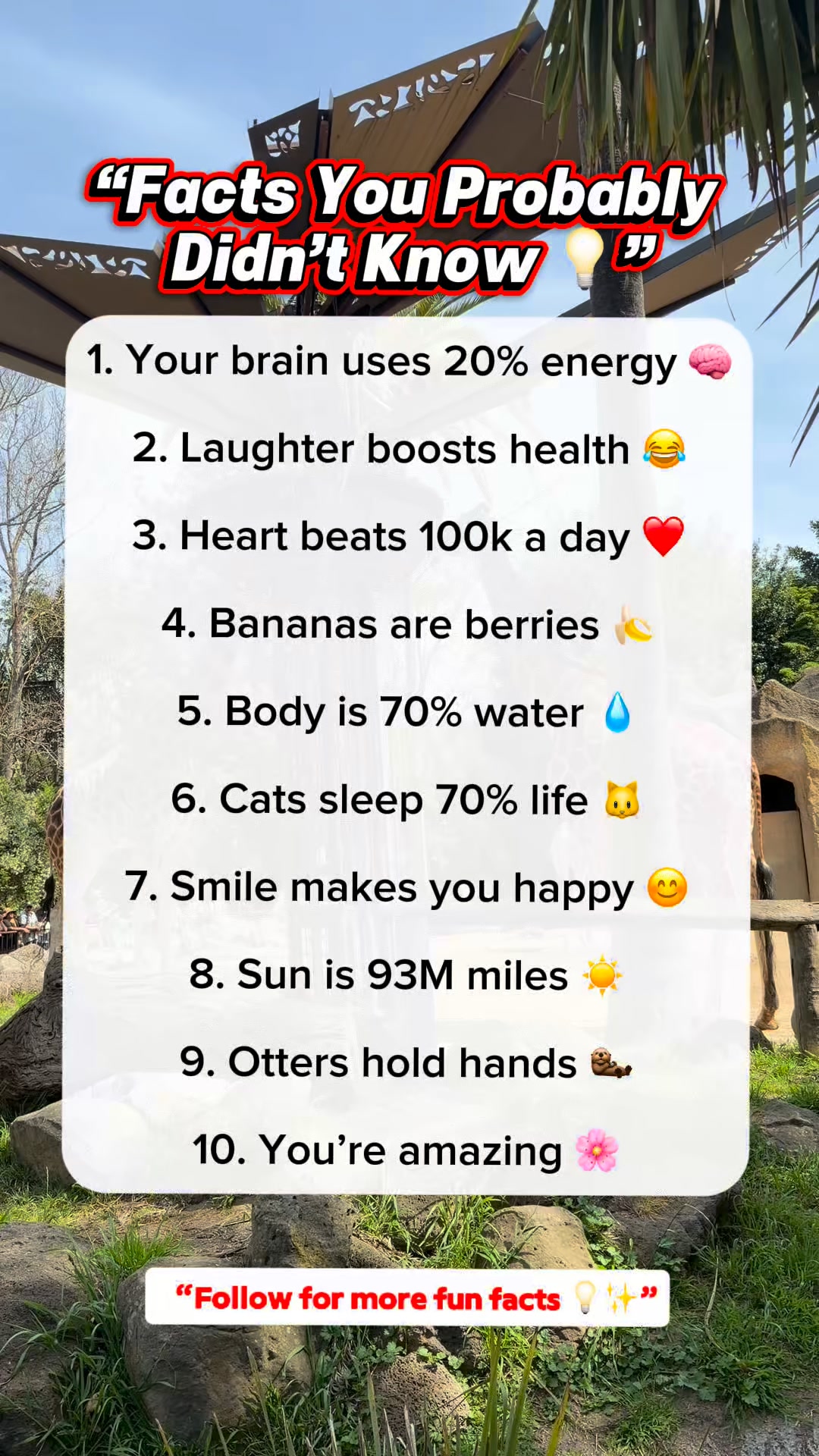 10 fun facts you probably didn’t know 💡Save this for later and follow ...
