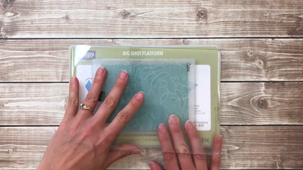 Embossing folders are a quick and easy way to make an elegant card! 👉 ...