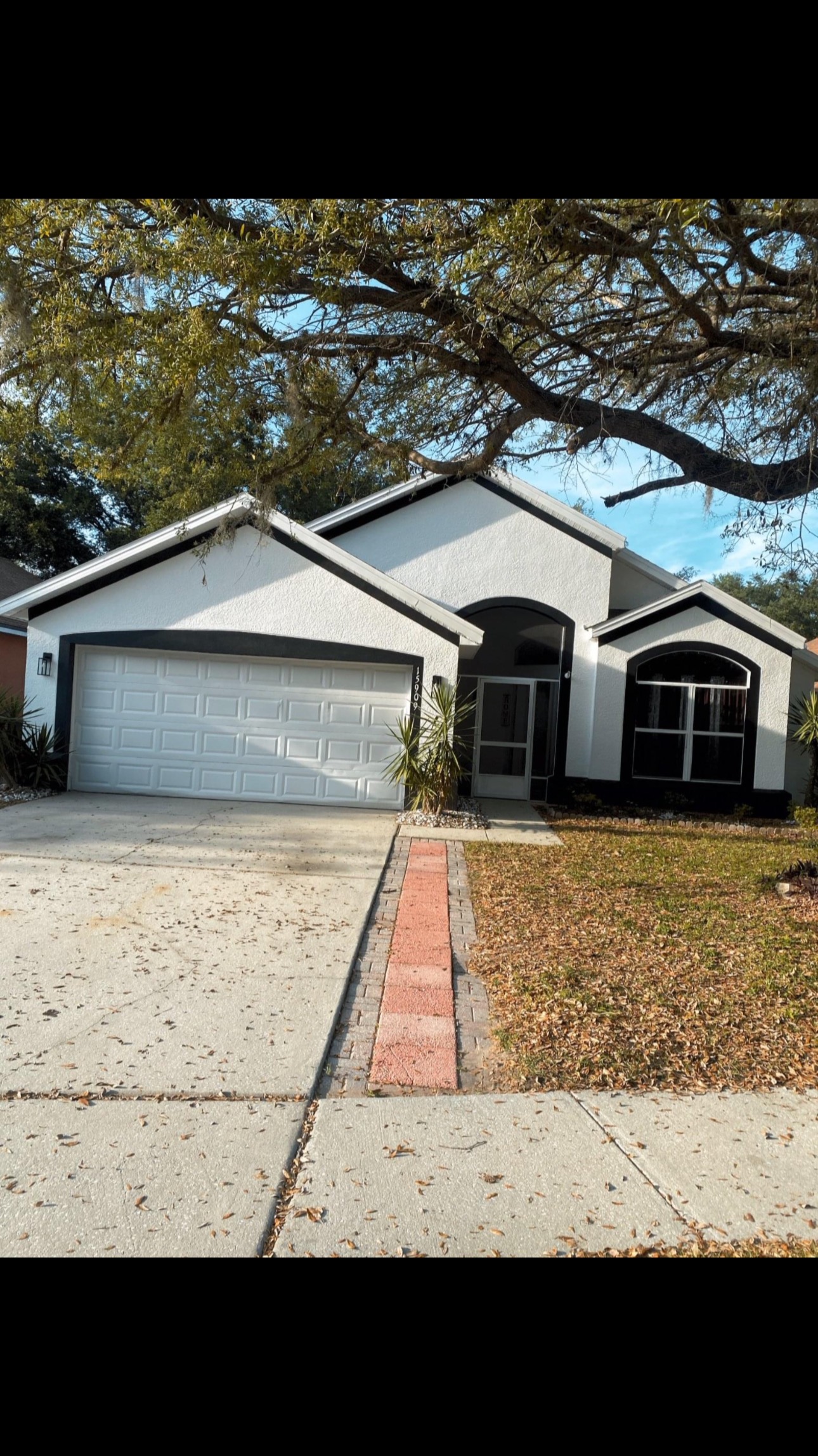 Freeman's Construction & Engineering Group, Inc | Palm Bay FL