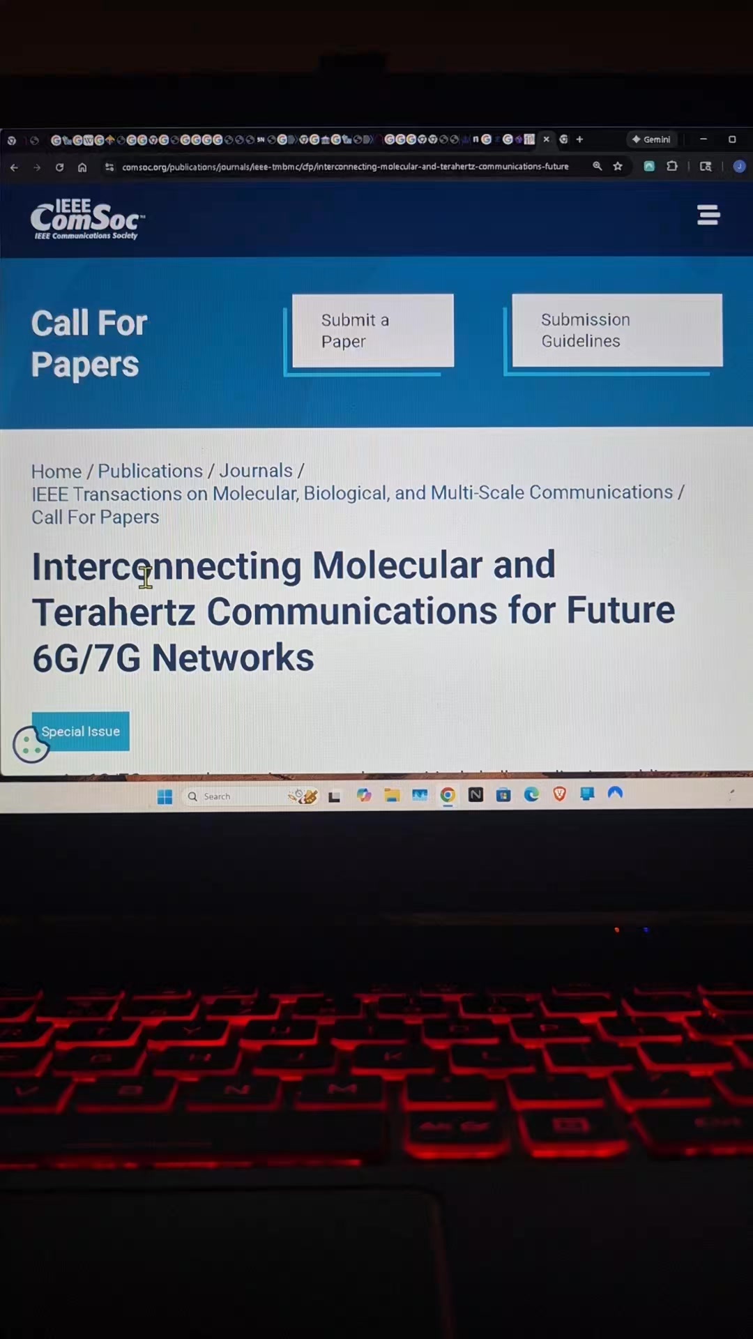 The webpage announces a Call for Papers for a special issue titled ...