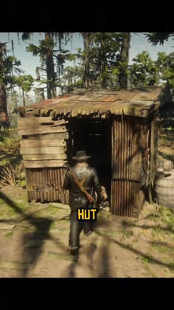 Rare items in Red dead redemption 2 #rdr2 #reddeadredemption2 # ...