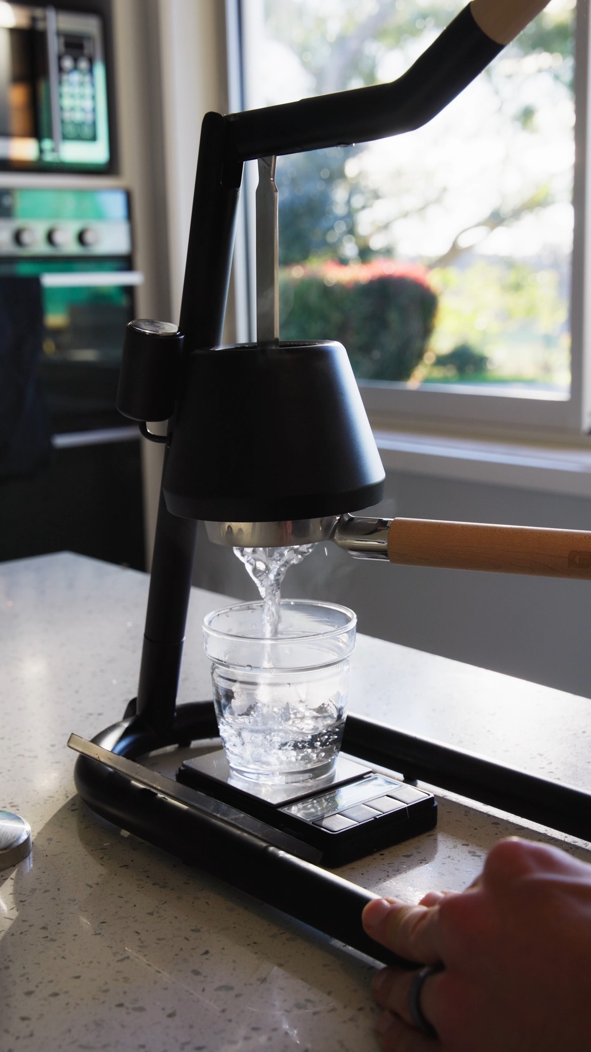 Newton Espresso | Hastings