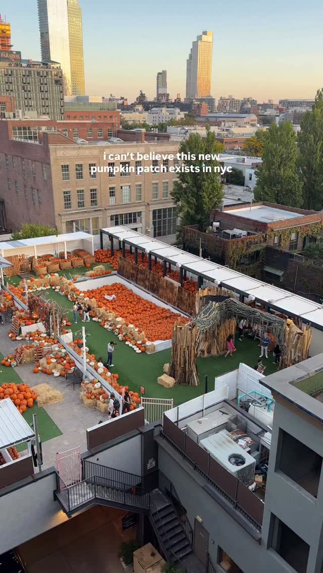 First look at @citysidepumpkinpatch 🎃 Link in bio @NYbucketlist for the ...