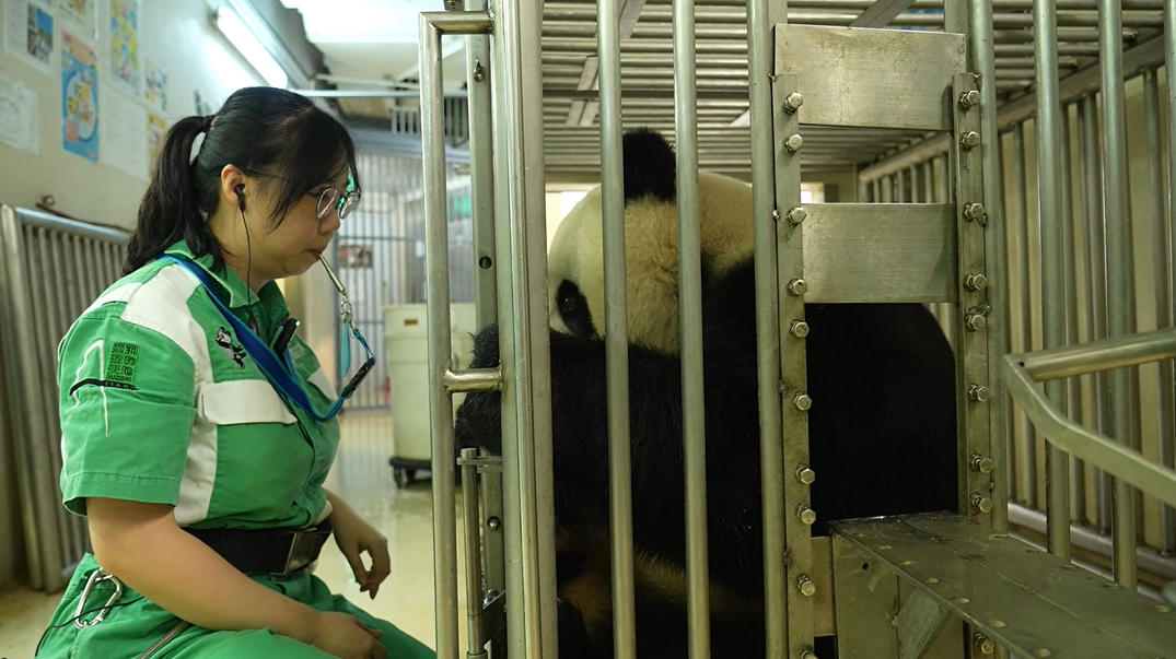 Behavioral training is a key way for caretakers to bond closely with ...