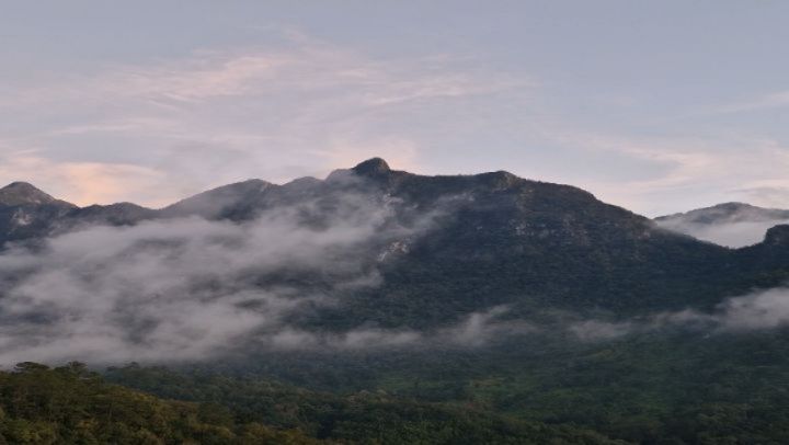 Nattanan Suriyan