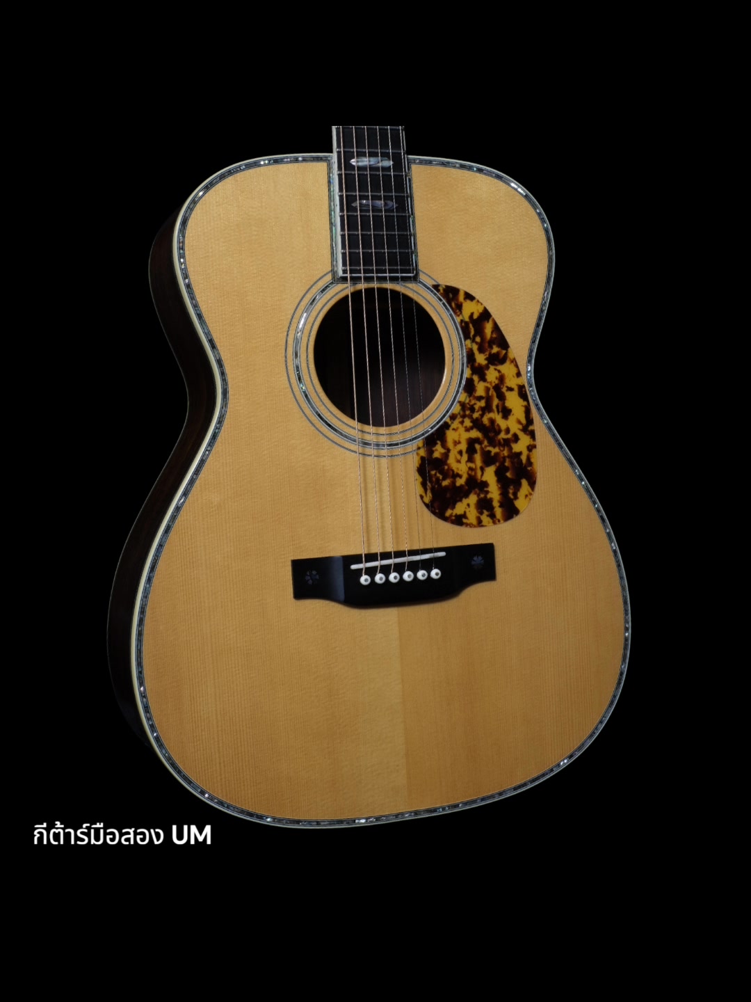 Brand: Aria Dreadnought AF-150/N (2005