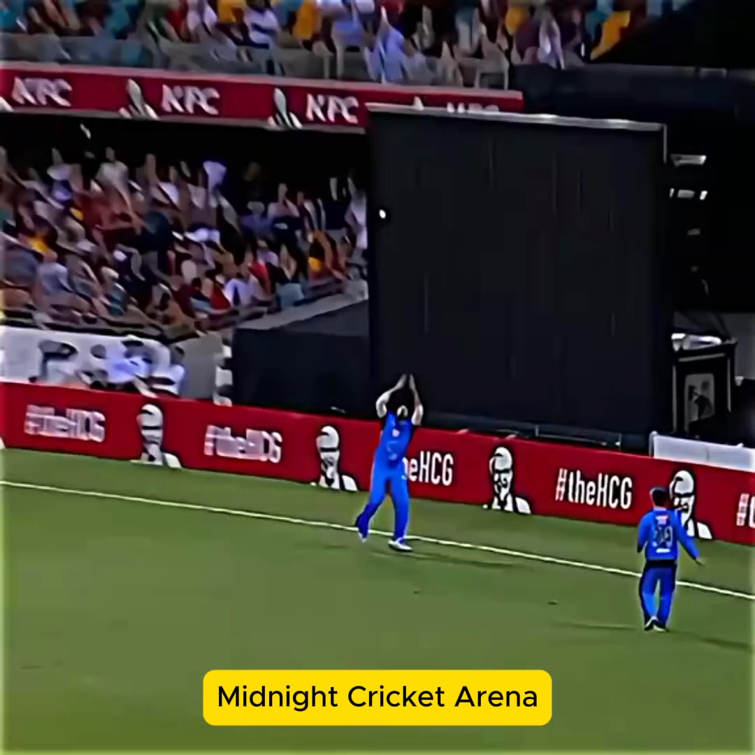 Top Amazing Catches in Cricket History 😍🏏 | Unbelievable Fielding ...