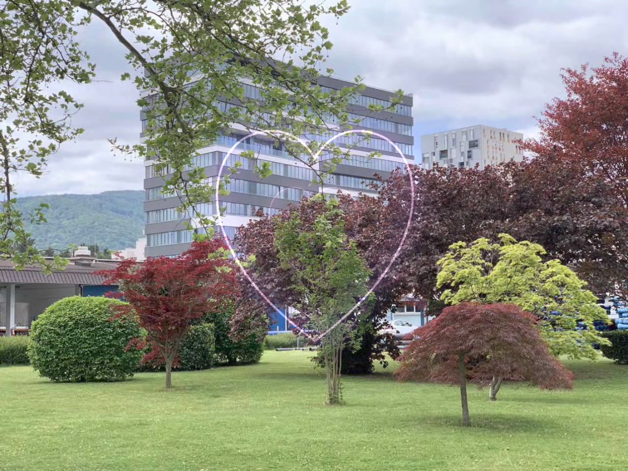 Hortikulturno društvo Maribor | Maribor