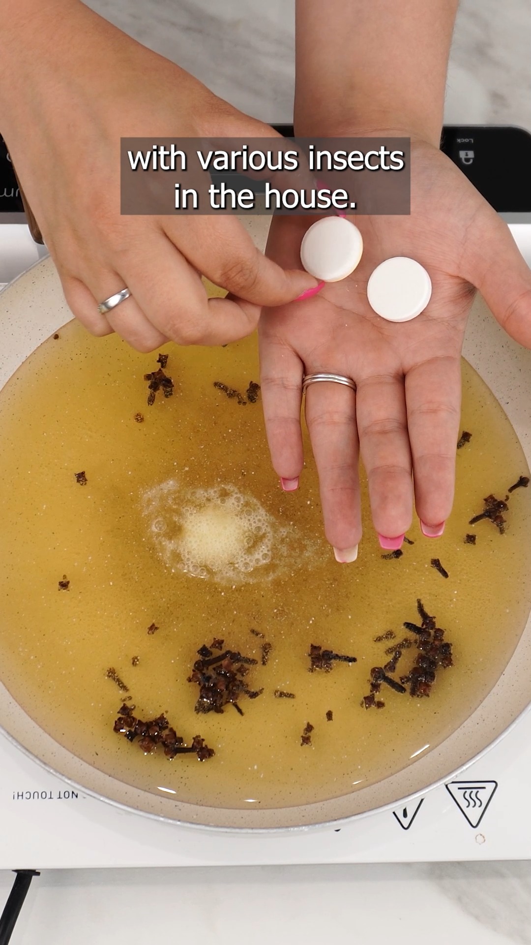 A homemade spray recipe that repels ants, cockroaches, and spiders 🕷️ ...
