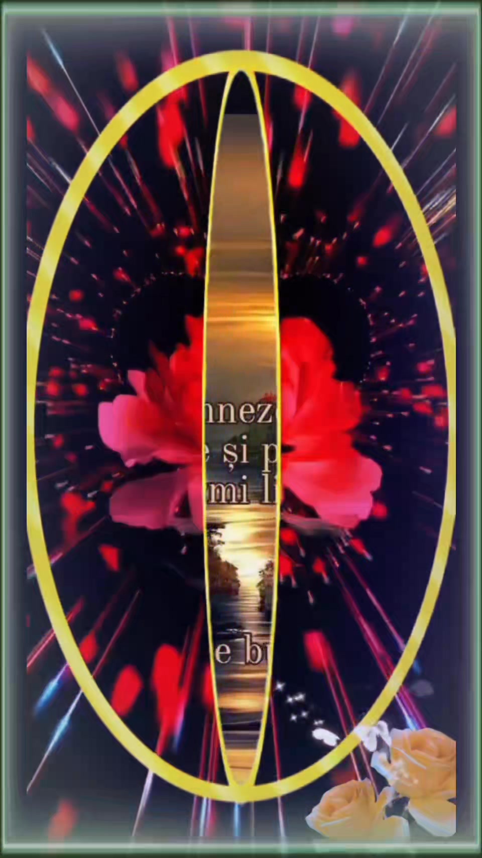 reels-maricica-marcica-maxim-facebook