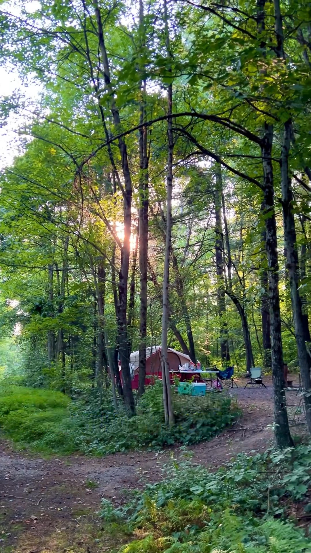 Clarion’s fastest-growing favorite campground? Rustic Acres! Modern ...