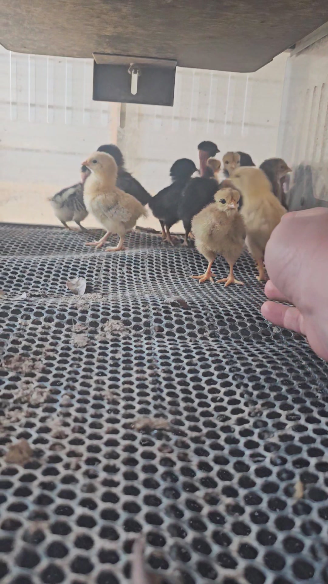 The Ralston Farm | Booneville AR