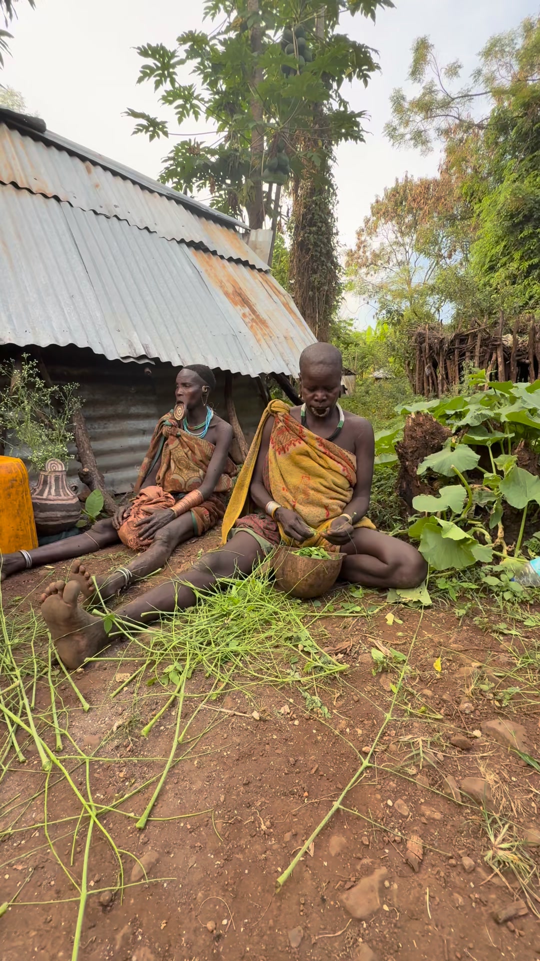 The houses of the Hakaona people in Angola are traditional, simple ...